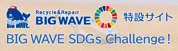 Big Wave SDGs Challenge